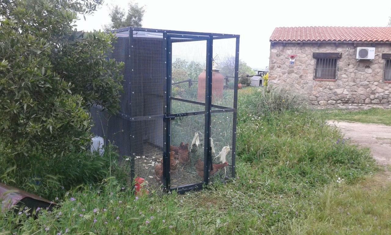 El Majano Casa de hóspedes Montánchez Exterior foto